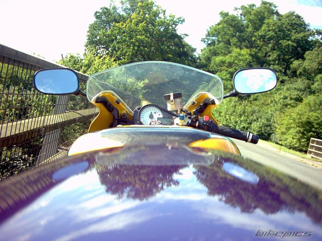 2003 SUZUKI GSX R 600 | Picture 447926 motorcycle photo
