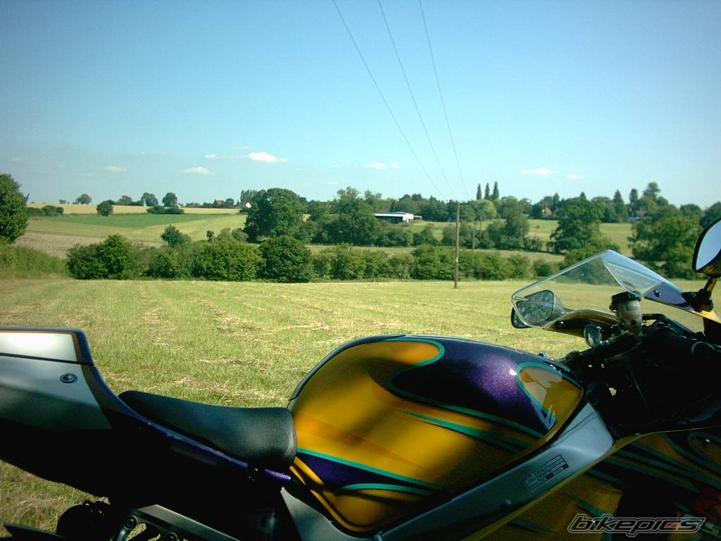 2003 SUZUKI GSX R 600 | Picture 447927 motorcycle photo