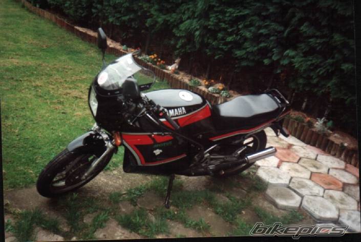 1991 YAMAHA RD 350 | Picture 448049 motorcycle photo
