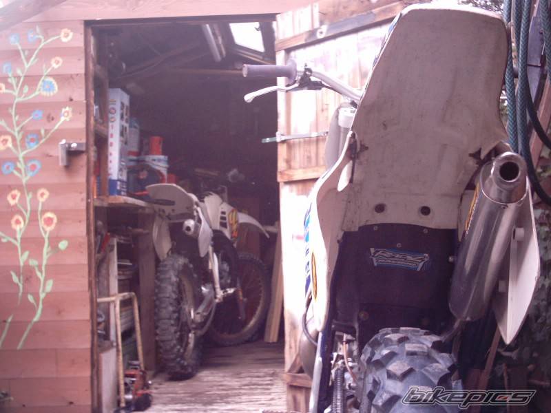 1995 YAMAHA YZ 250 | Picture 44810 motorcycle photo