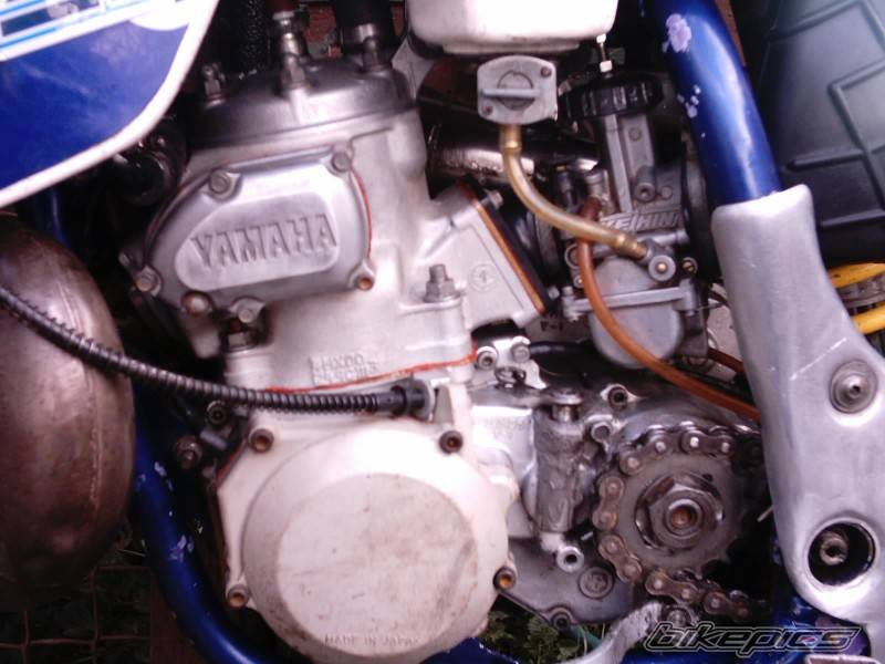 1995 YAMAHA YZ 250 | Picture 44811 motorcycle photo