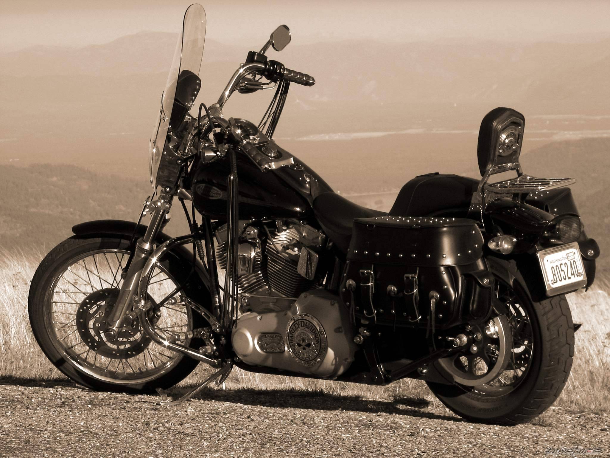 2005 HARLEY DAVIDSON FXST | Picture 448242 motorcycle photo
