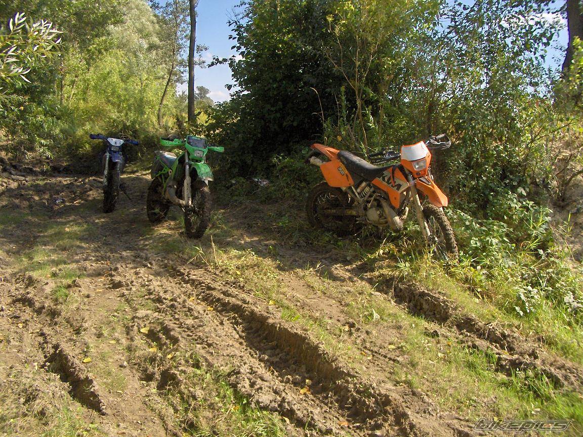 1993 KAWASAKI KDX 125 | Picture 448247 motorcycle photo