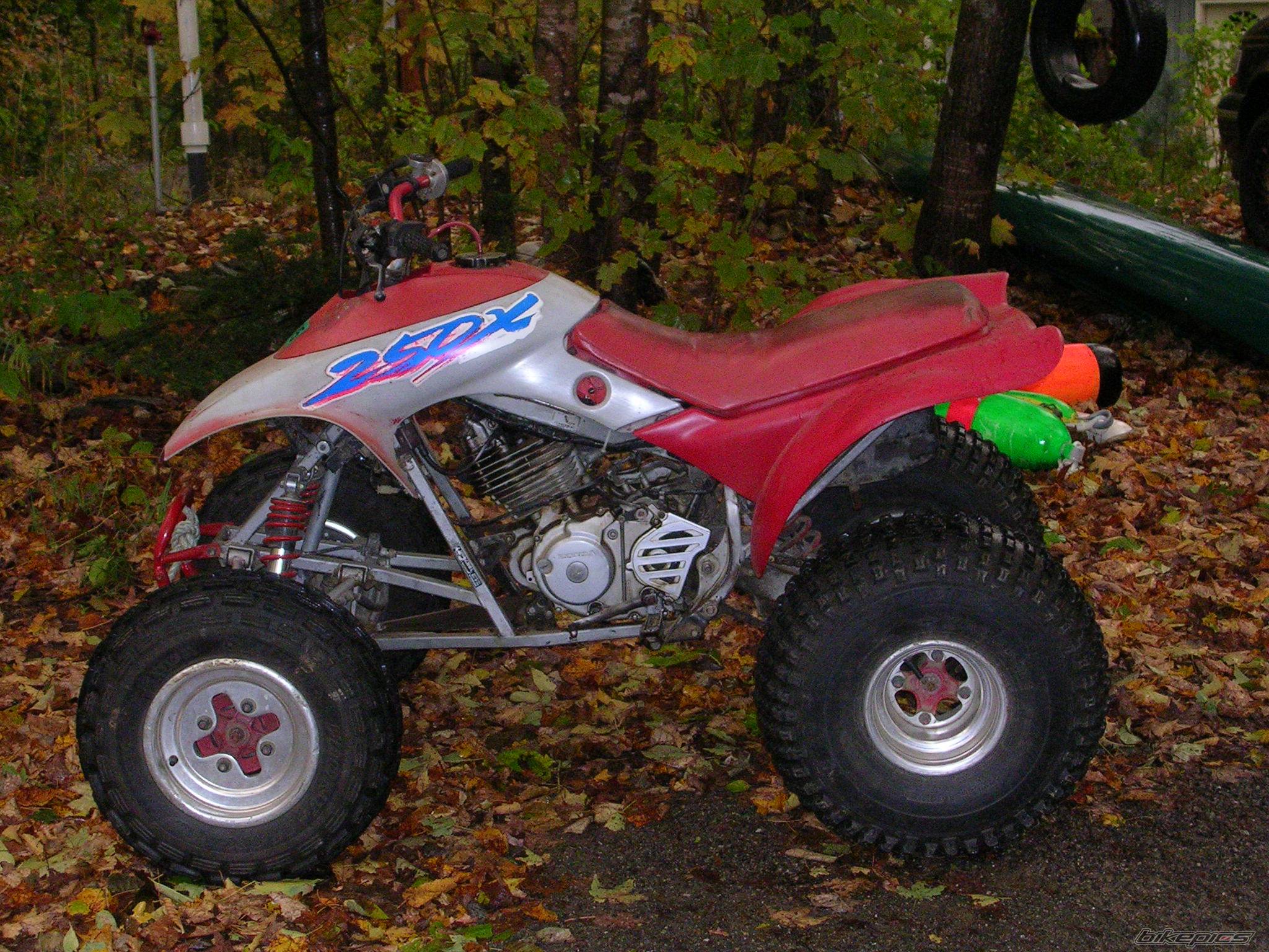 1987 HONDA 250X | Picture 448312 motorcycle photo