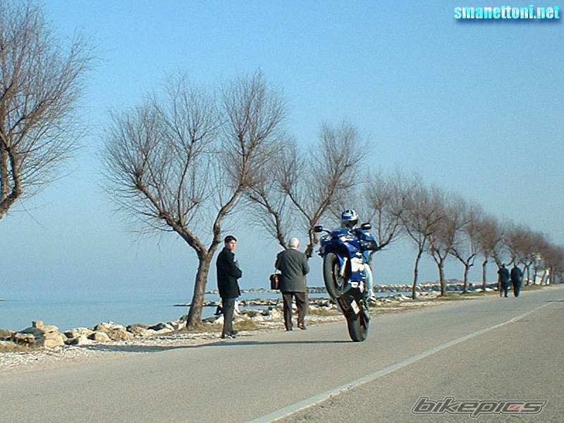 2001 YAMAHA YZF R6 | Picture 44843 motorcycle photo
