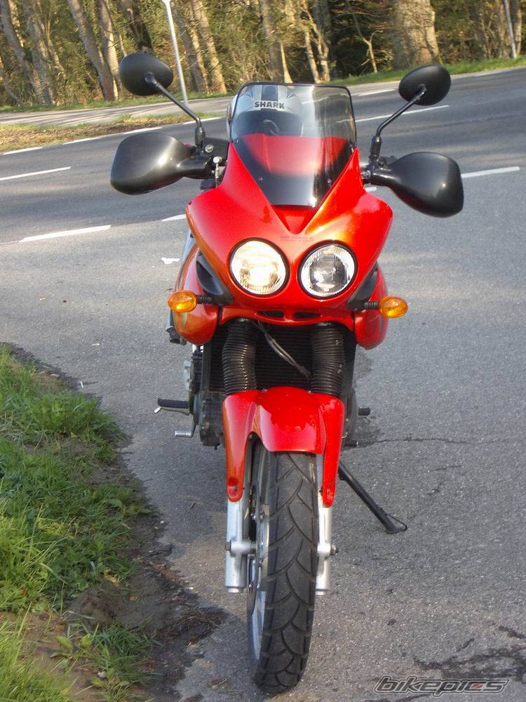 2005 TRIUMPH TIGER | Picture 448605 motorcycle photo