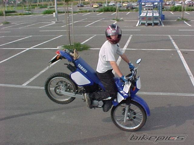 1999 YAMAHA AEROX 50 | Picture 44869 motorcycle photo