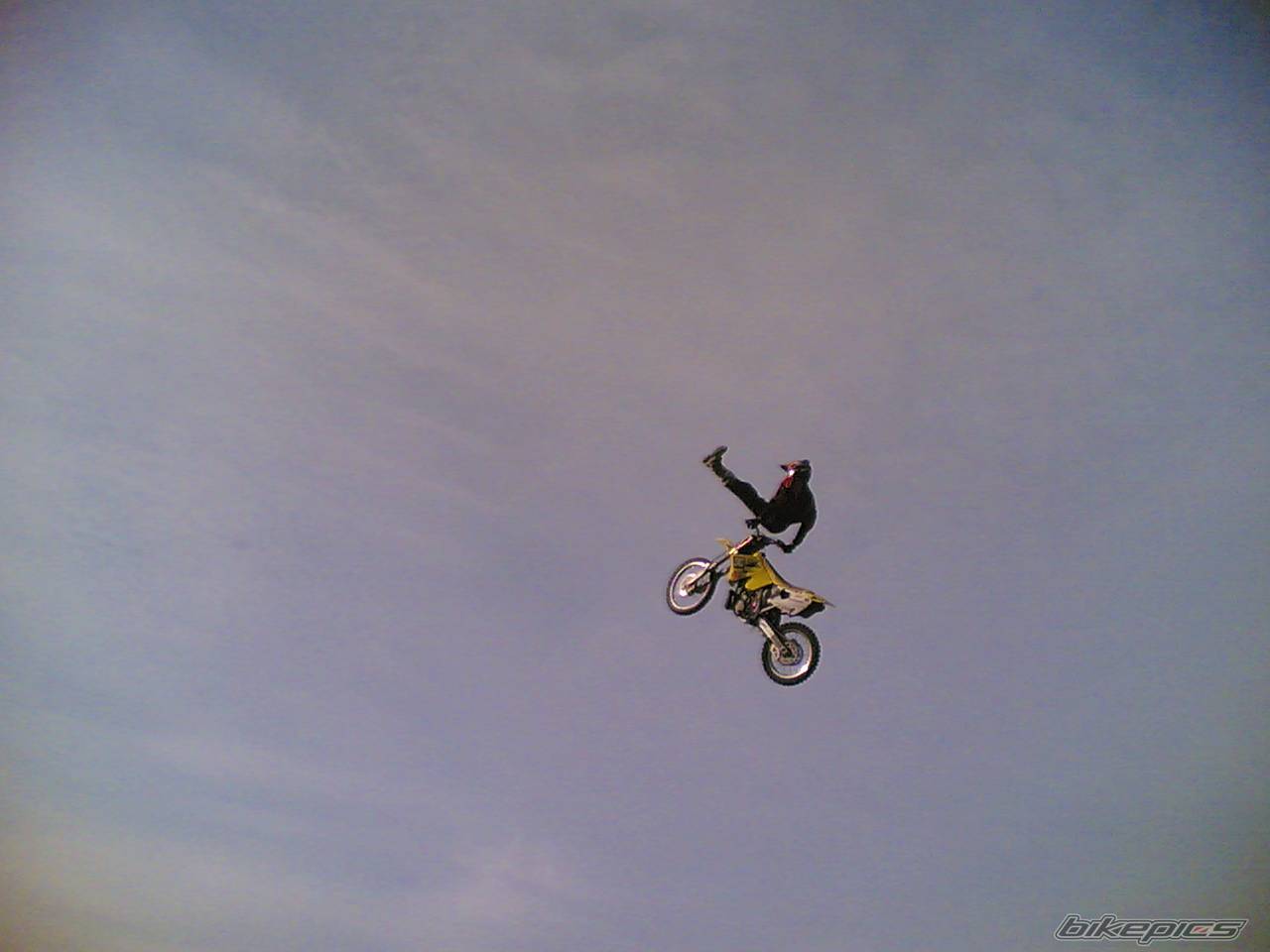 2005 SUZUKI RM 250 | Picture 448866 motorcycle photo