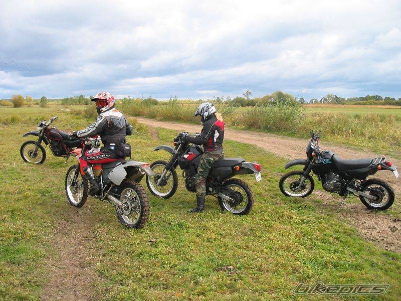 1995 SUZUKI DR 650 | Picture 449190 motorcycle photo