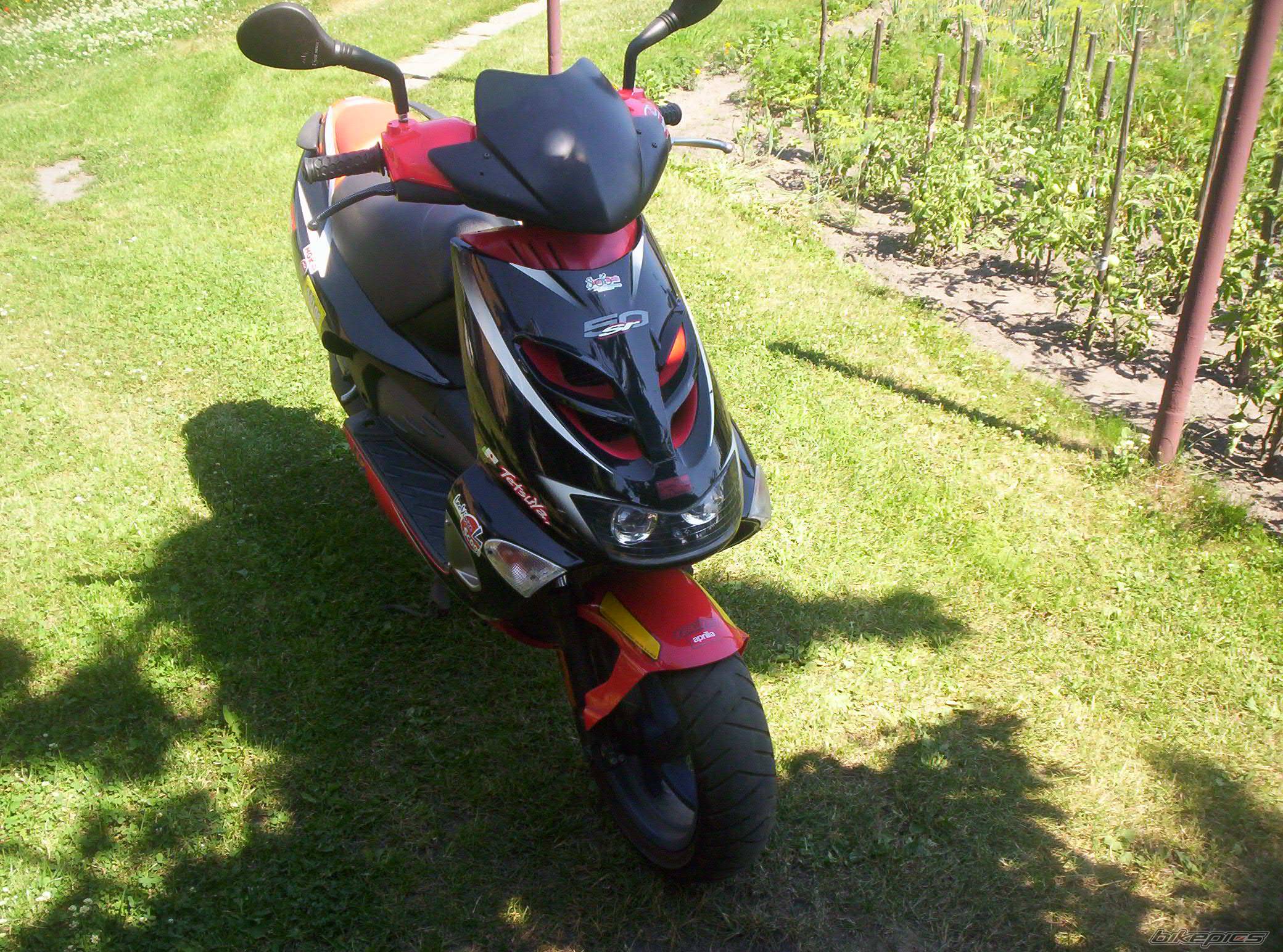 2002 APRILIA SR RACING 50 | Picture 449536 motorcycle photo