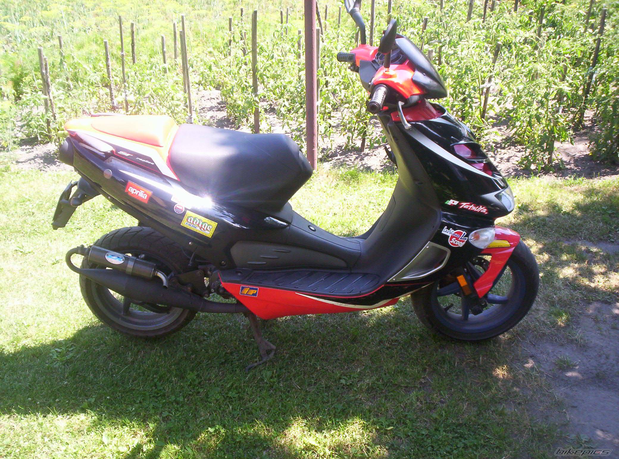 2002 APRILIA SR RACING 50 | Picture 449556 motorcycle photo