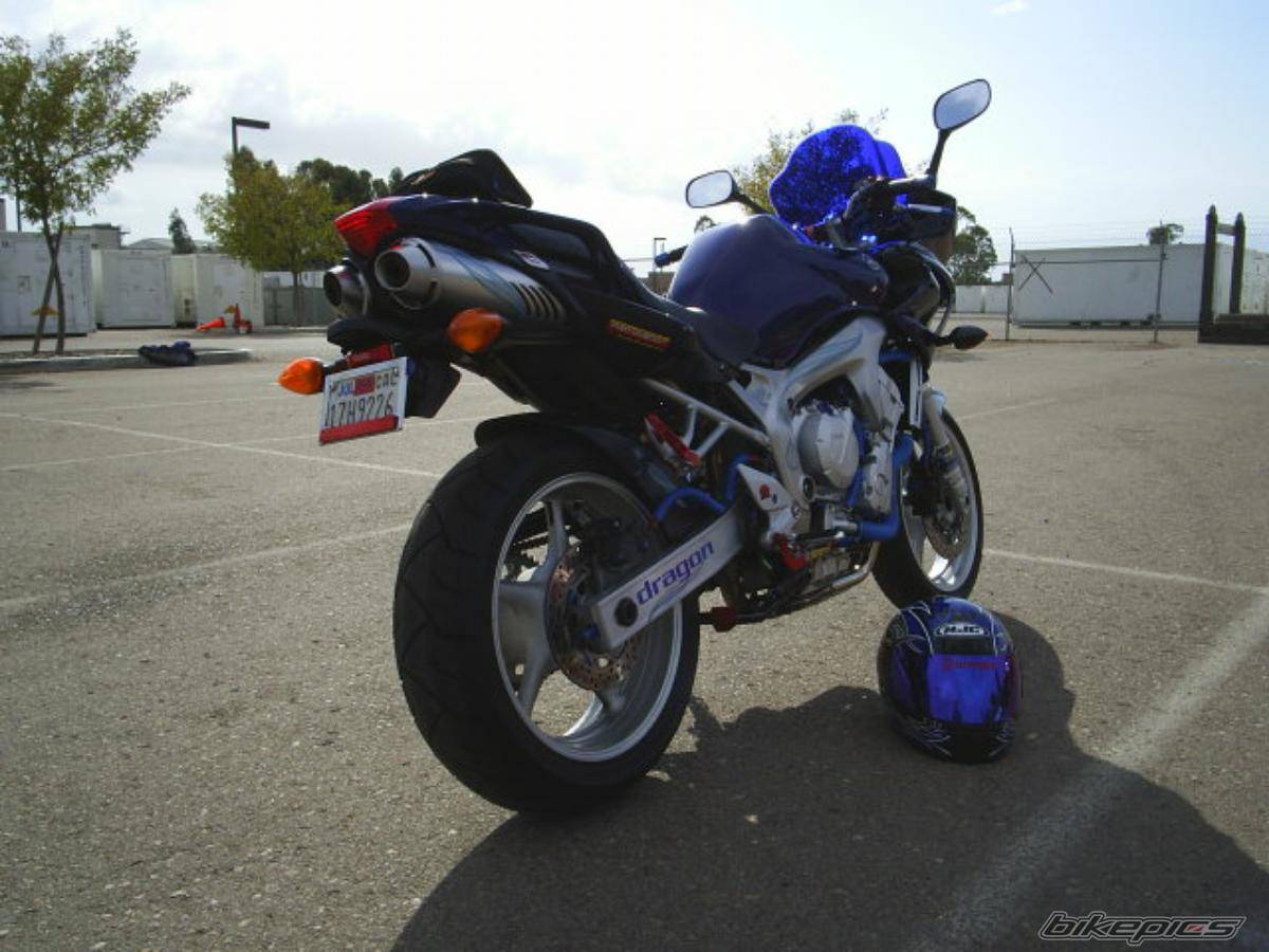 2004 YAMAHA FZ6 FAZER | Picture 449811 motorcycle photo