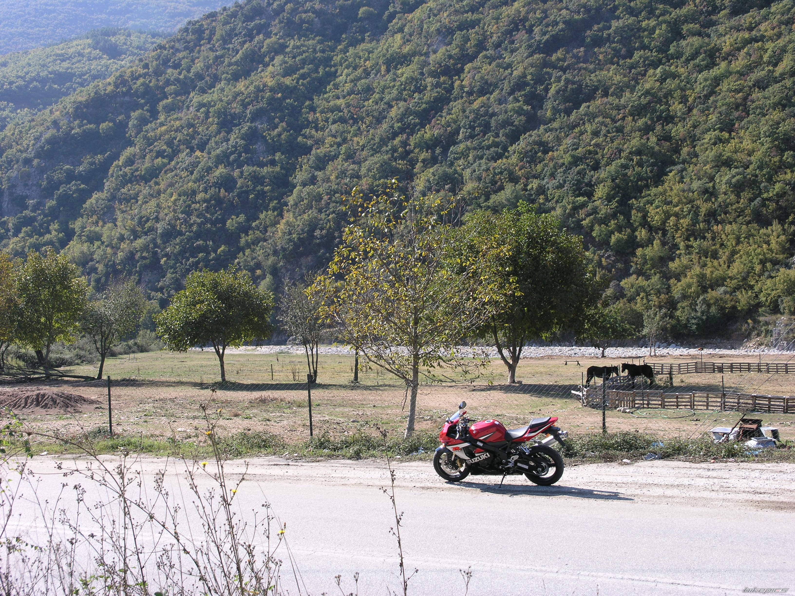 2005 SUZUKI GSX R 600 | Picture 449906 motorcycle photo