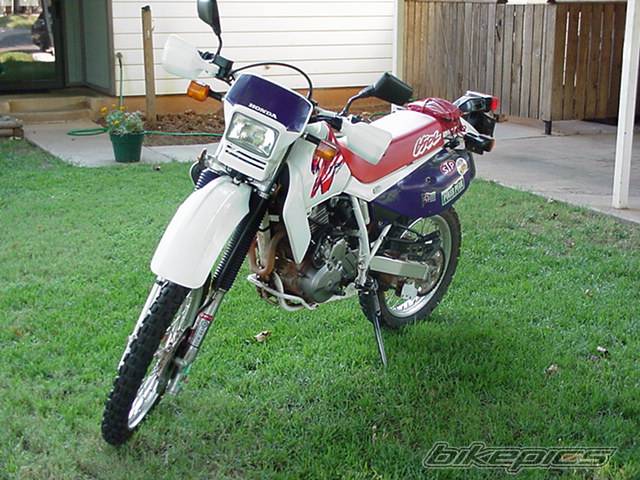 1995 HONDA XR 650 | Picture 4501 motorcycle photo