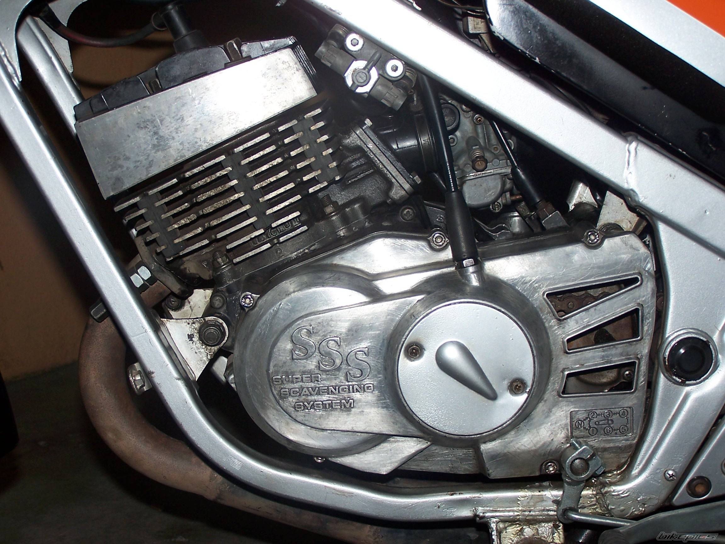 1991 SUZUKI TXR 150 | Picture 450776 motorcycle photo