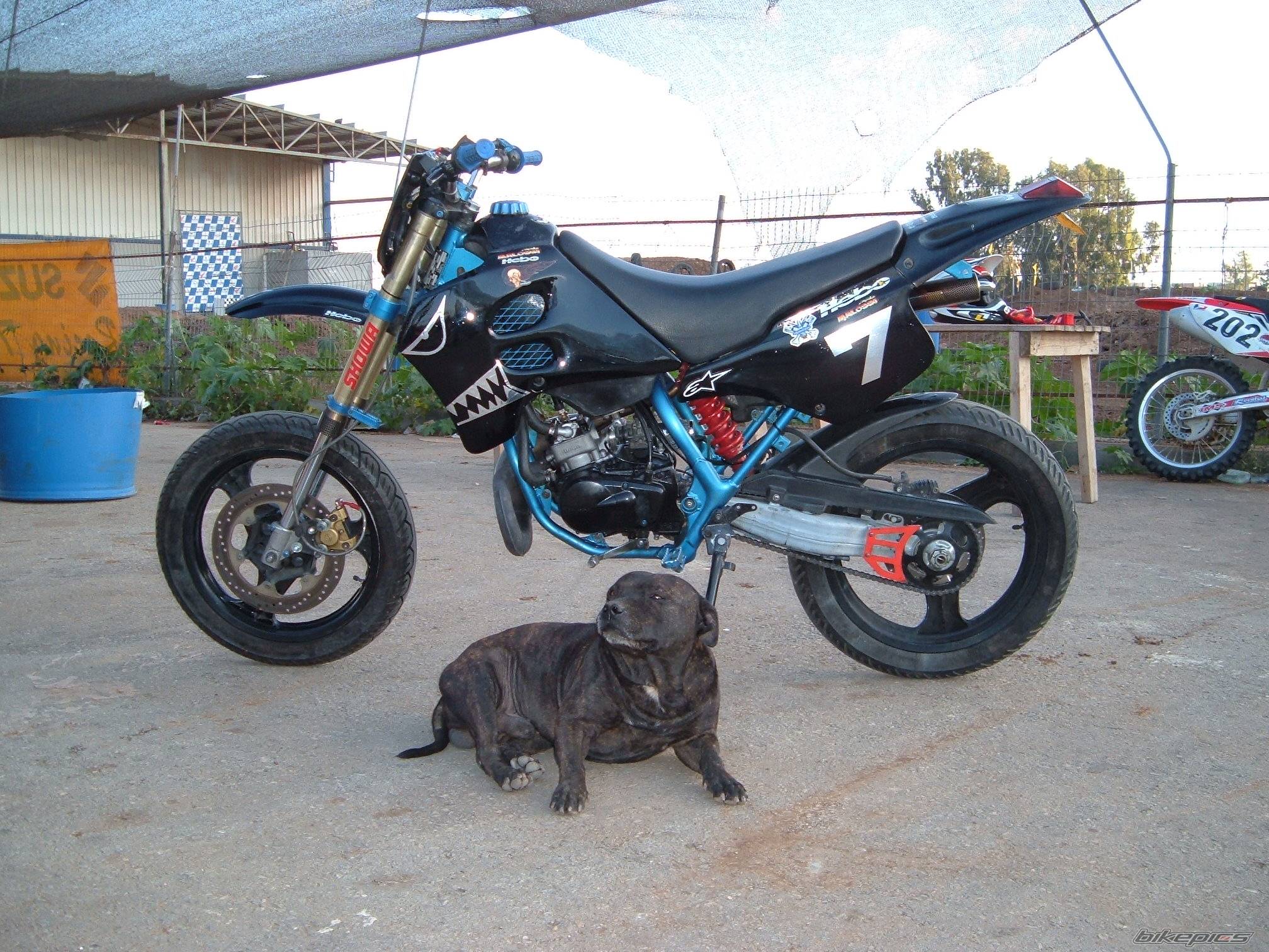 2006 SUZUKI SMX 50 | Picture 450875 motorcycle photo