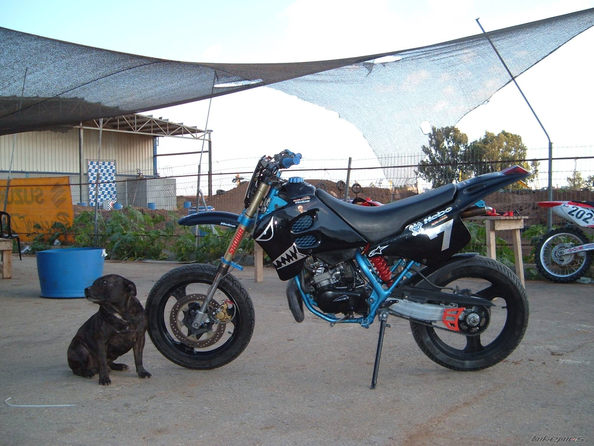2006 SUZUKI SMX 50 | Picture 450876 motorcycle photo