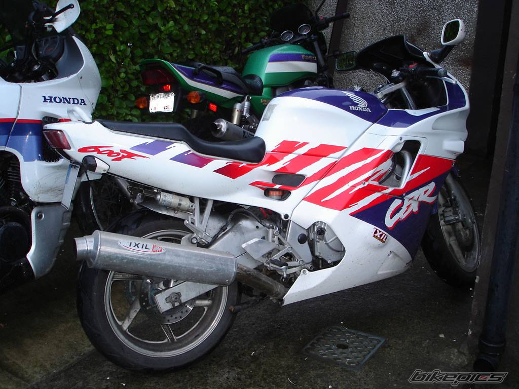 1995 HONDA CBR 600 | Picture 450884 motorcycle photo