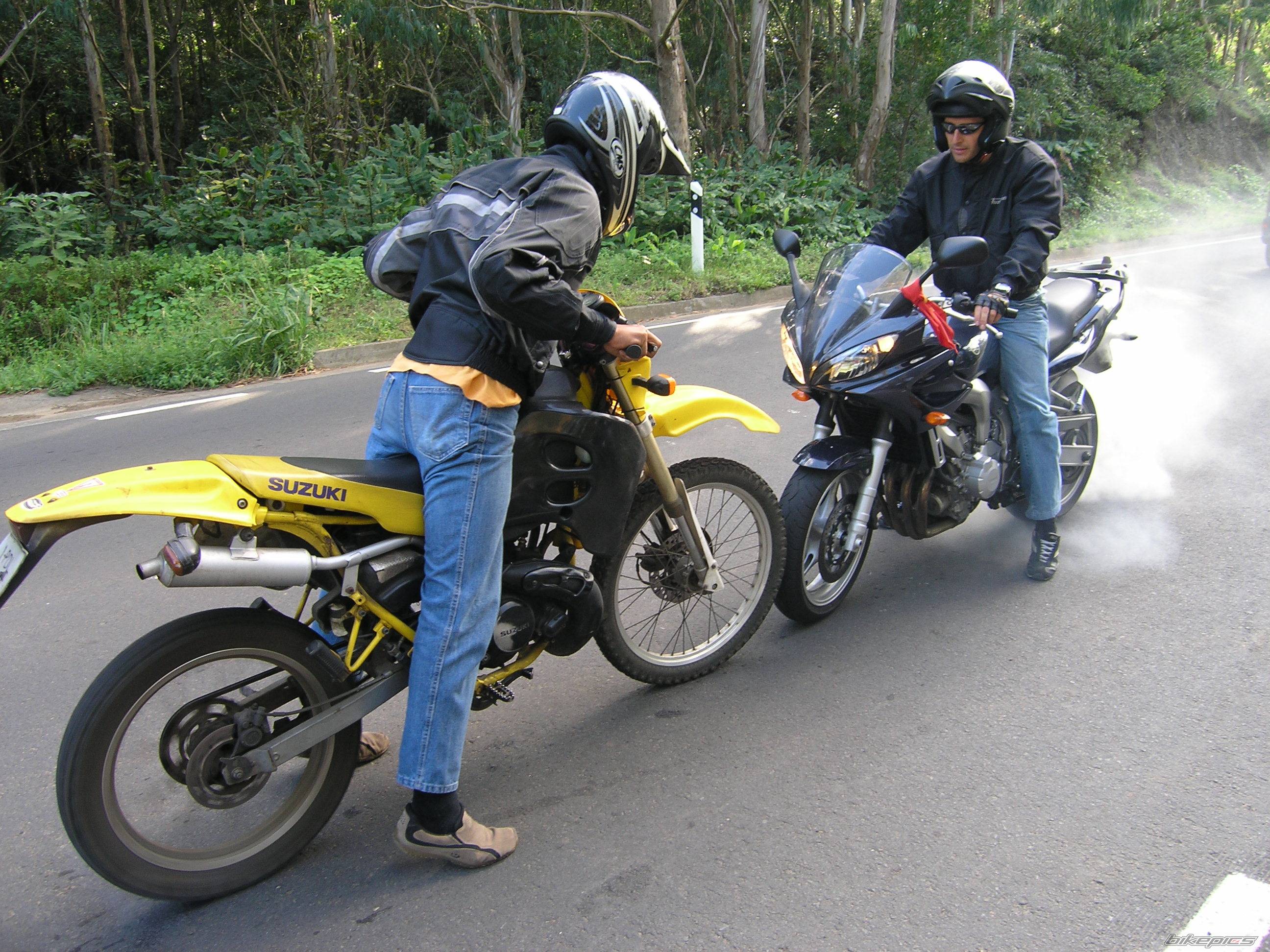 2003 YAMAHA FZ6 FAZER | Picture 451119 motorcycle photo