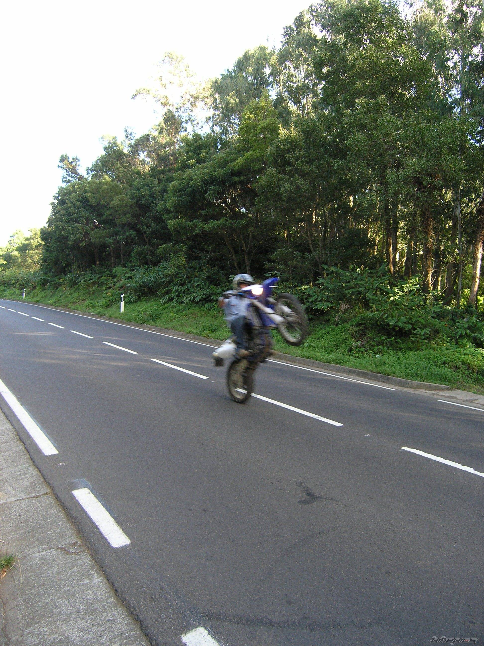 2005 YAMAHA WR450 | Picture 451135 motorcycle photo