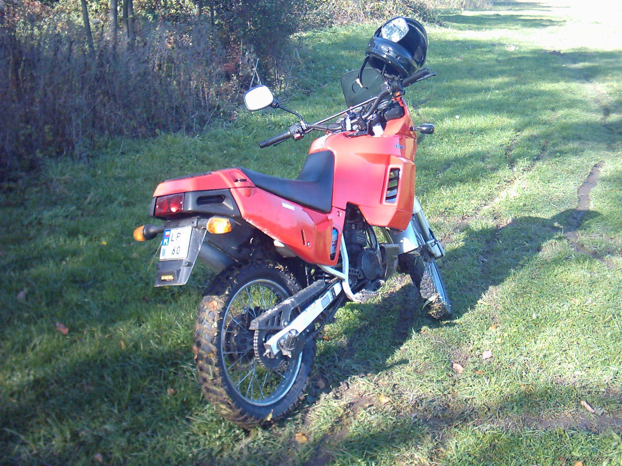 2005 CAGIVA COCIS 80 | Picture 451183 motorcycle photo