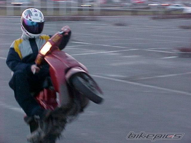 1999 YAMAHA AEROX 50 | Picture 45142 motorcycle photo