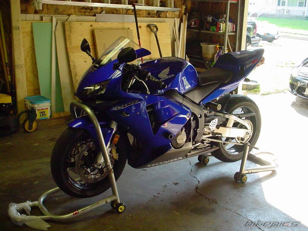 2004 HONDA CBR 600 | Picture 451547 motorcycle photo
