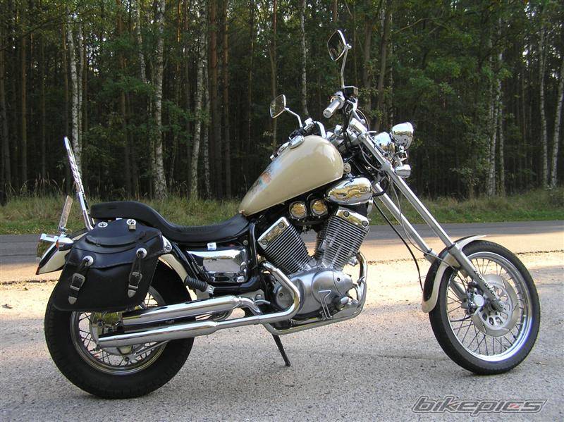 1993 YAMAHA VIRAGO 535 | Picture 451650 motorcycle photo