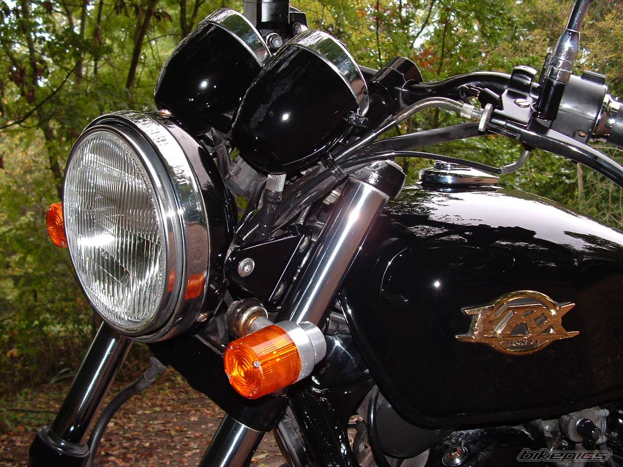 1999 HONDA VRX ROADSTER | Picture 451949 motorcycle photo