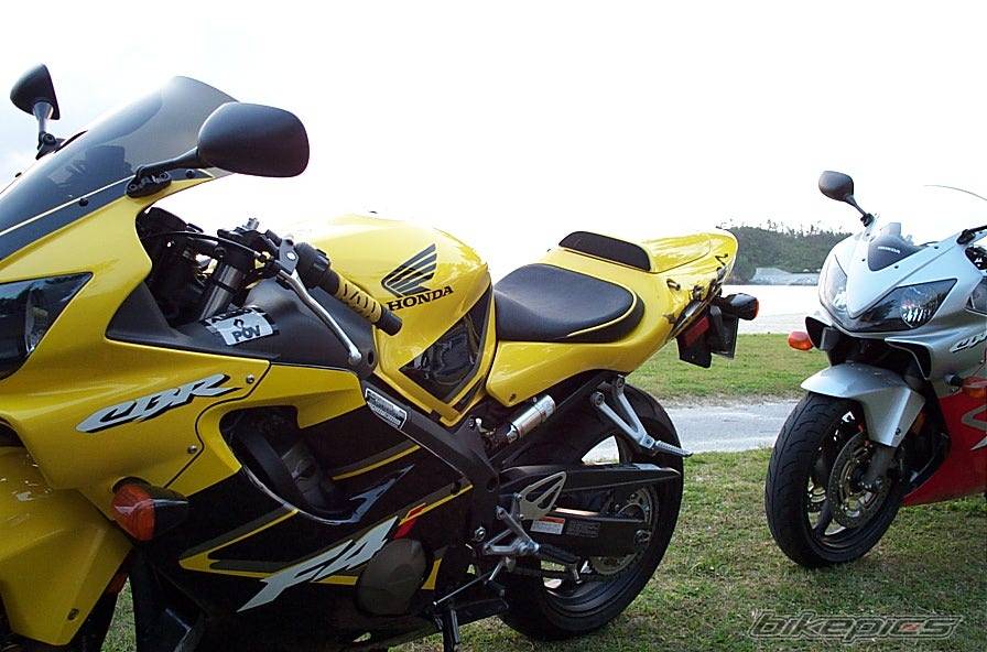 2002 HONDA CBR 600 | Picture 451996 motorcycle photo