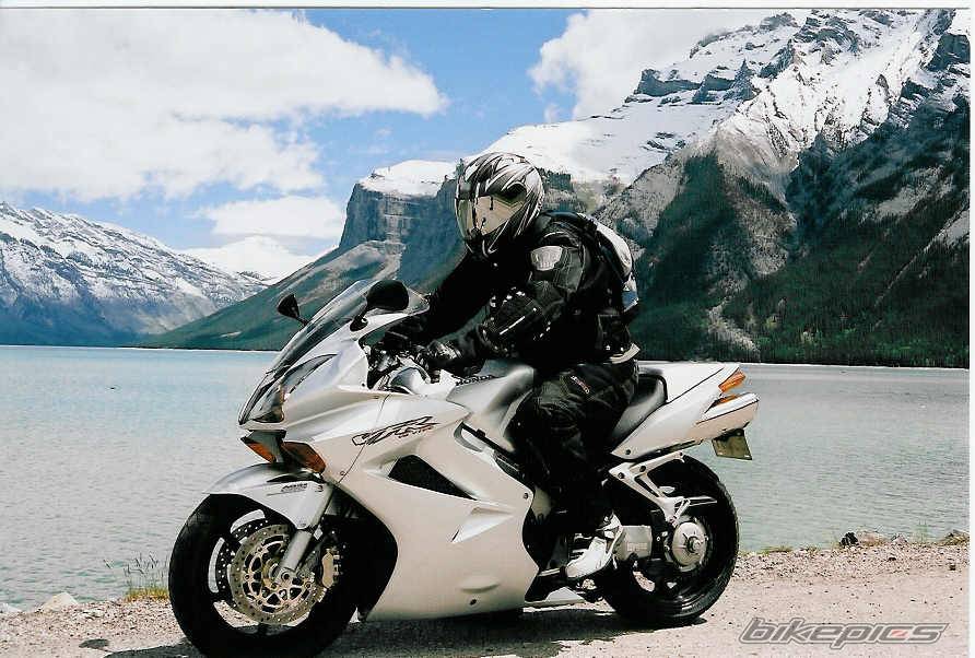 2003 HONDA VFR 800 | Picture 452282 motorcycle photo