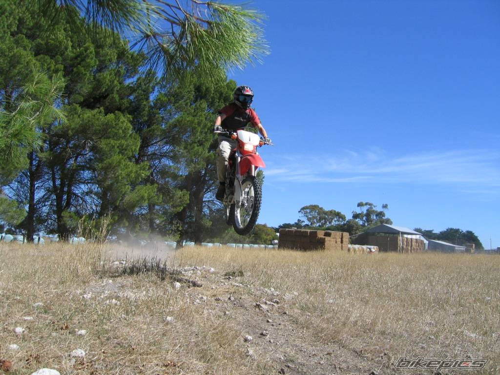 2004 HONDA XR 250 | Picture 452598 motorcycle photo