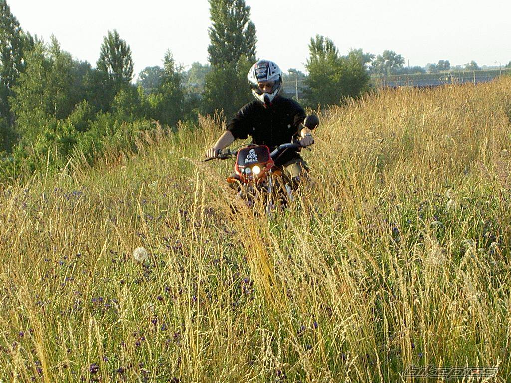    | Picture 452766 motorcycle photo