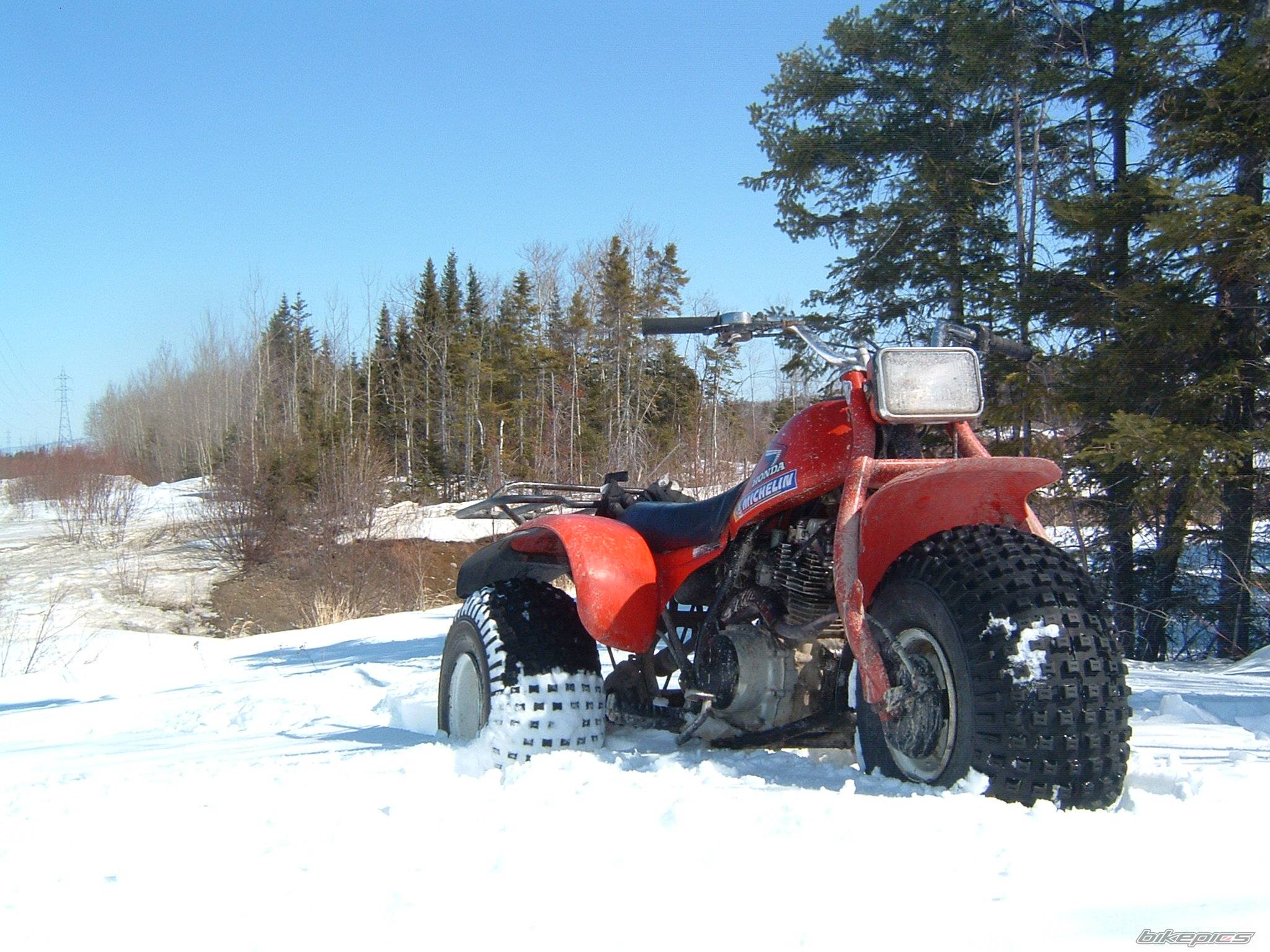 1982 HONDA ATC 185 | Picture 453251 motorcycle photo
