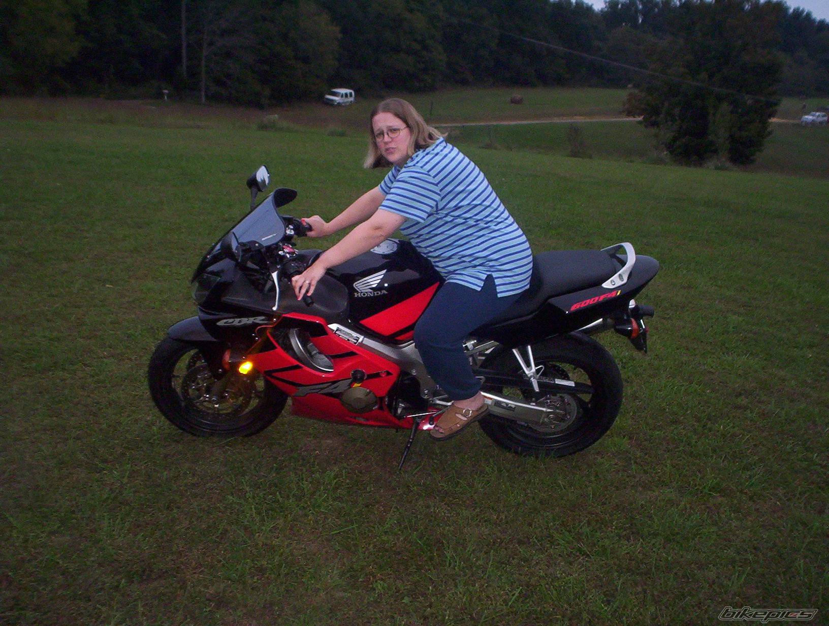 2004 HONDA CBR 600 | Picture 453279 motorcycle photo