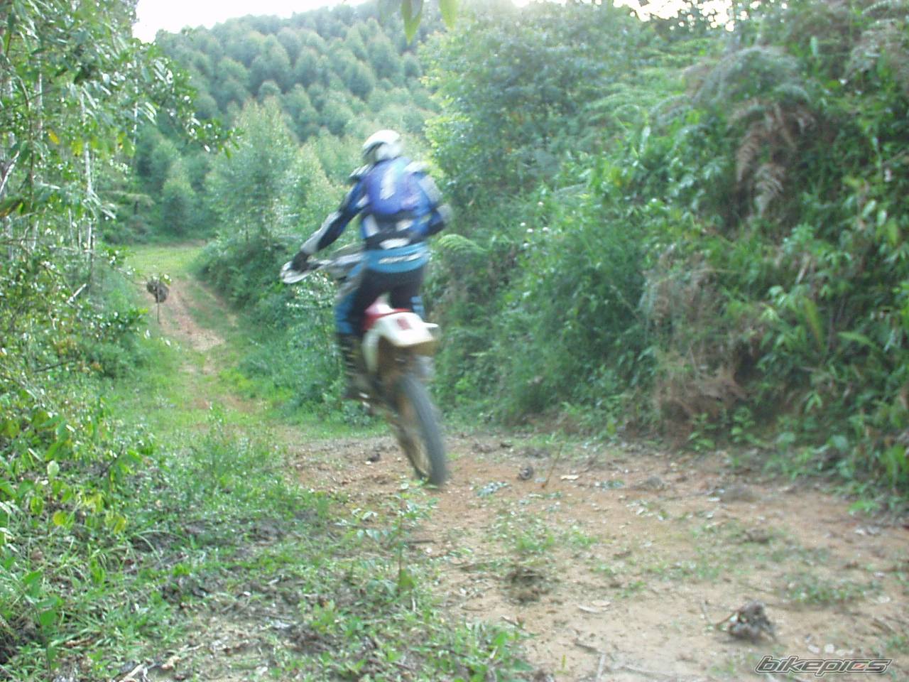 1999 HONDA XR 400 | Picture 453294 motorcycle photo