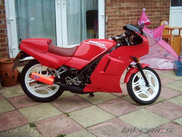 1991 HONDA NS 125 | Picture 453461 motorcycle photo