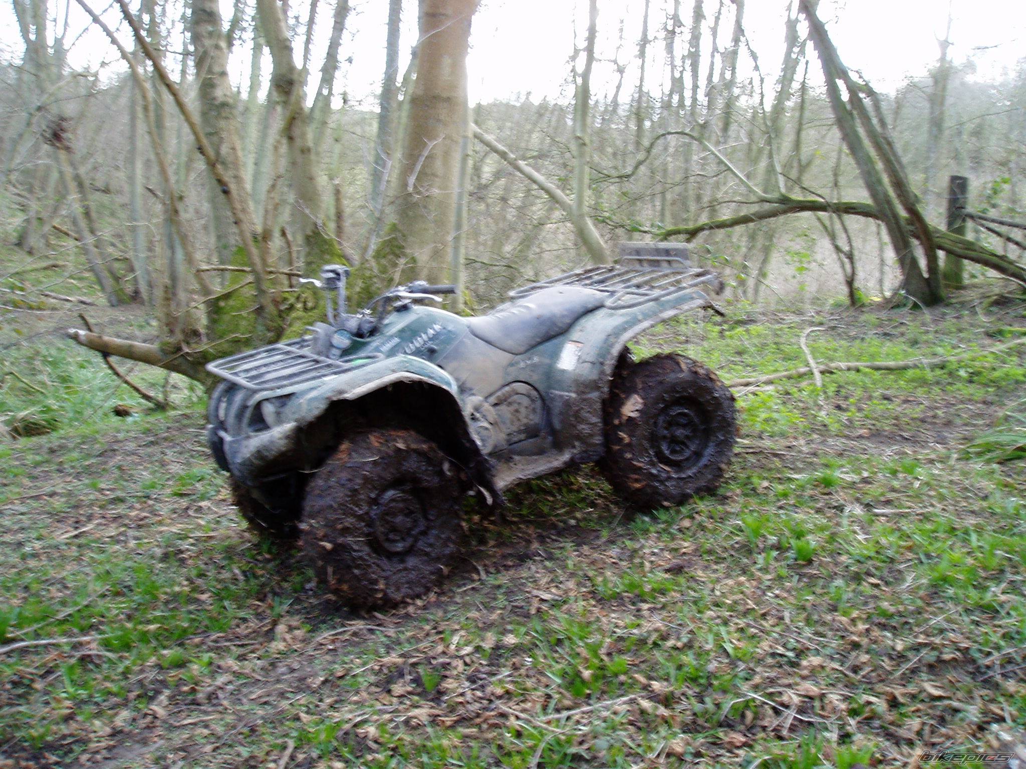2005 YAMAHA KODIAK | Picture 453773 motorcycle photo