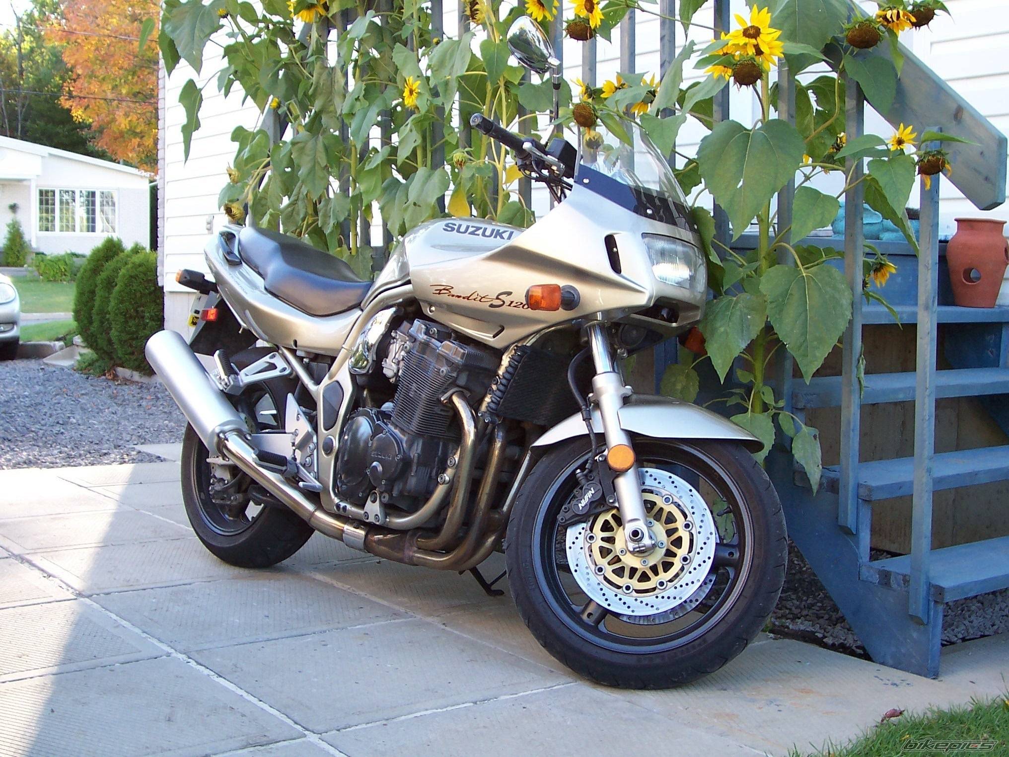 2000 SUZUKI BANDIT 1200 | Picture 453942 motorcycle photo