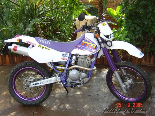 1999 YAMAHA TTR 250 | Picture 453980 motorcycle photo