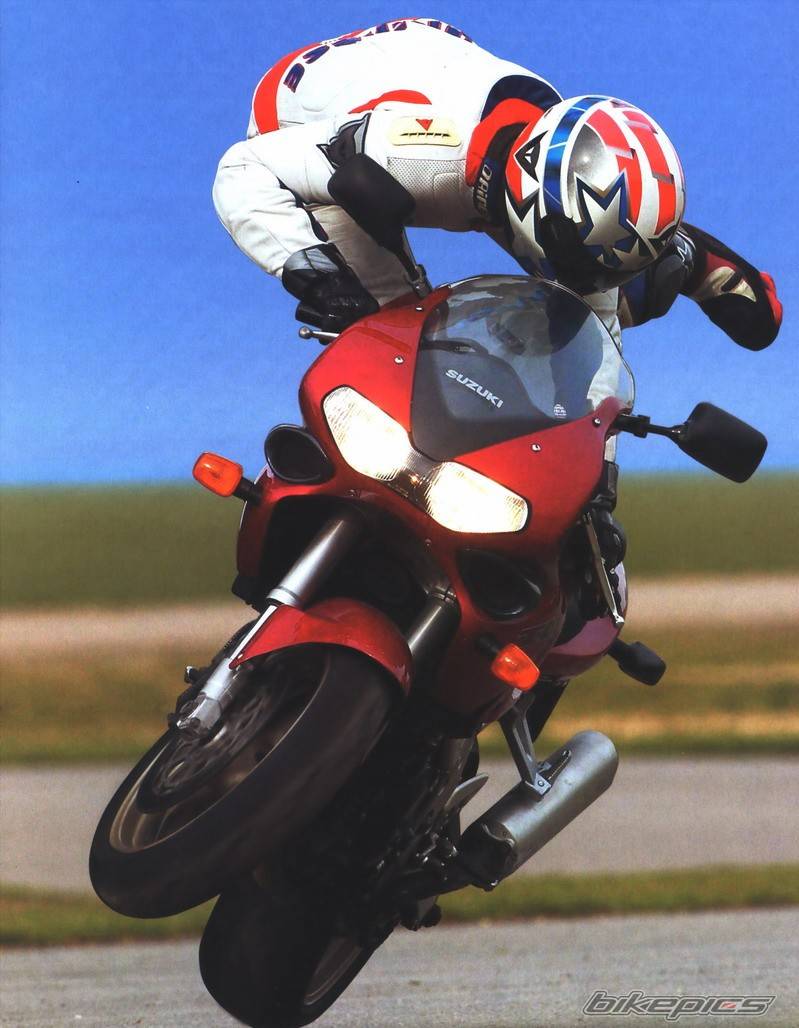 2004 SUZUKI TL1000S | Picture 454004 motorcycle photo