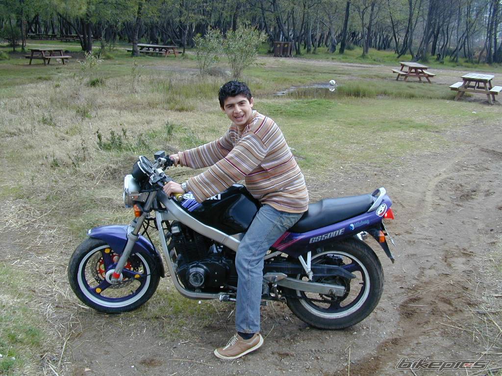 2002 SUZUKI BANDIT 400 | Picture 45425 motorcycle photo