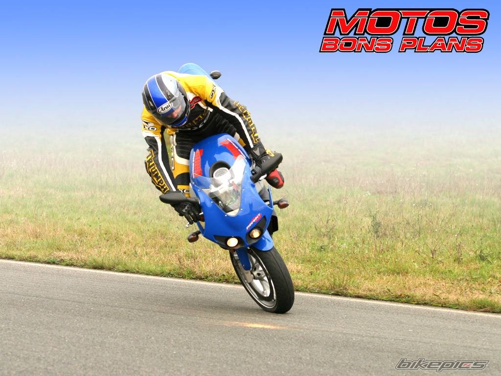 2004 BUELL XB9R FIREBOLT | Picture 454533 motorcycle photo