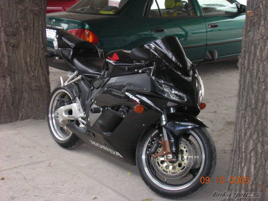 2005 HONDA CBR 1000  RR | Picture 454620 motorcycle photo