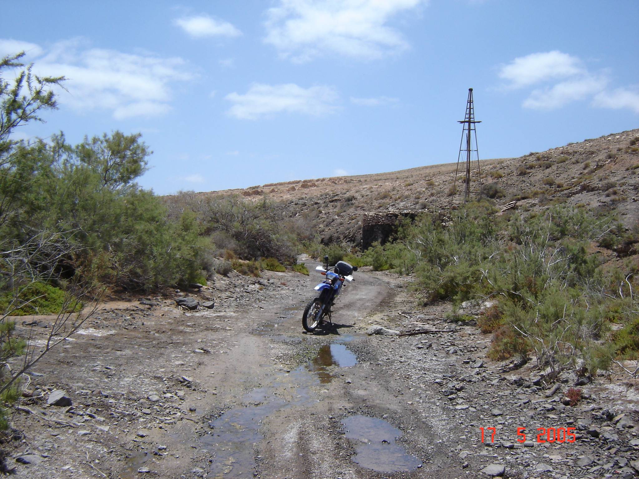 2000 YAMAHA TTR 250 | Picture 454714 motorcycle photo