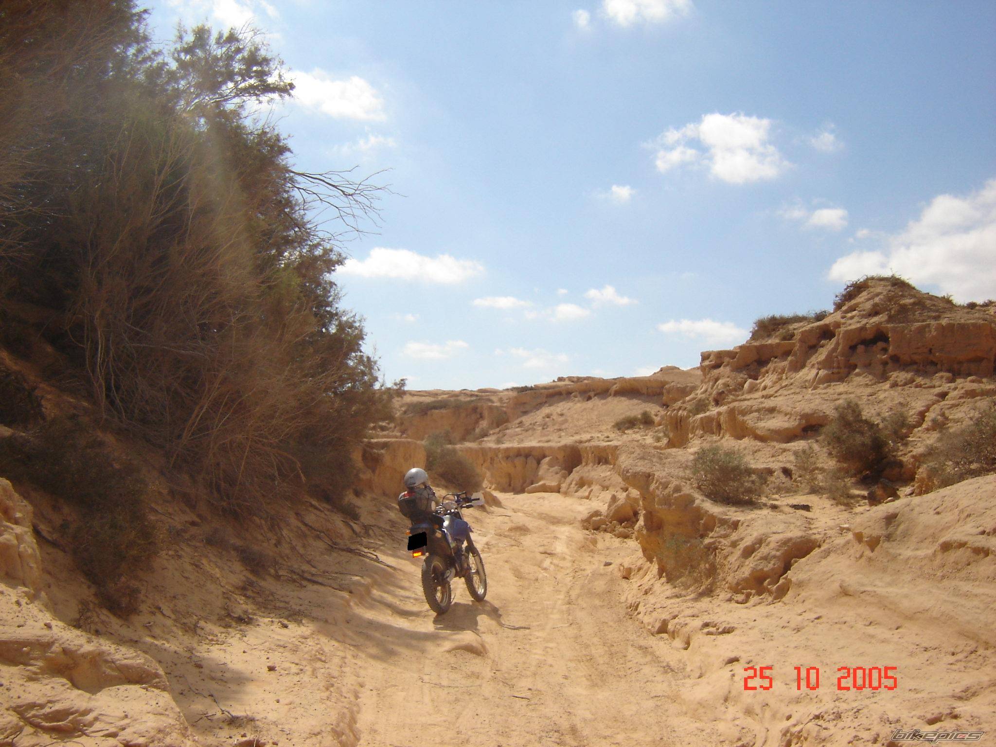 2000 YAMAHA TTR 250 | Picture 454716 motorcycle photo