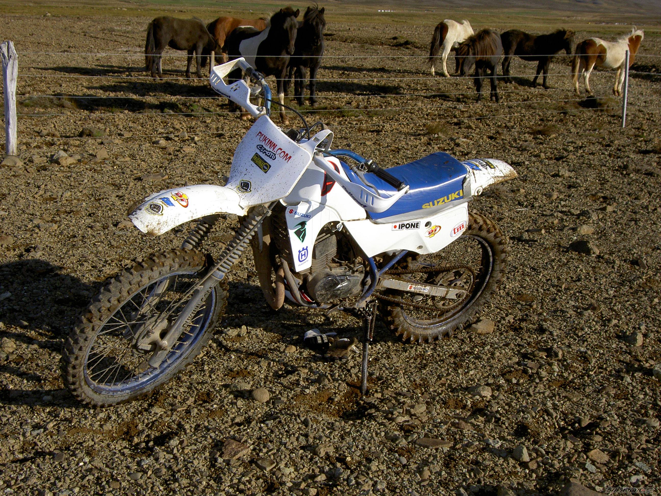 1990 SUZUKI TS 50 | Picture 455314 motorcycle photo