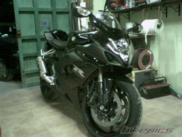2005 SUZUKI GSX R 1000 | Picture 455329 motorcycle photo