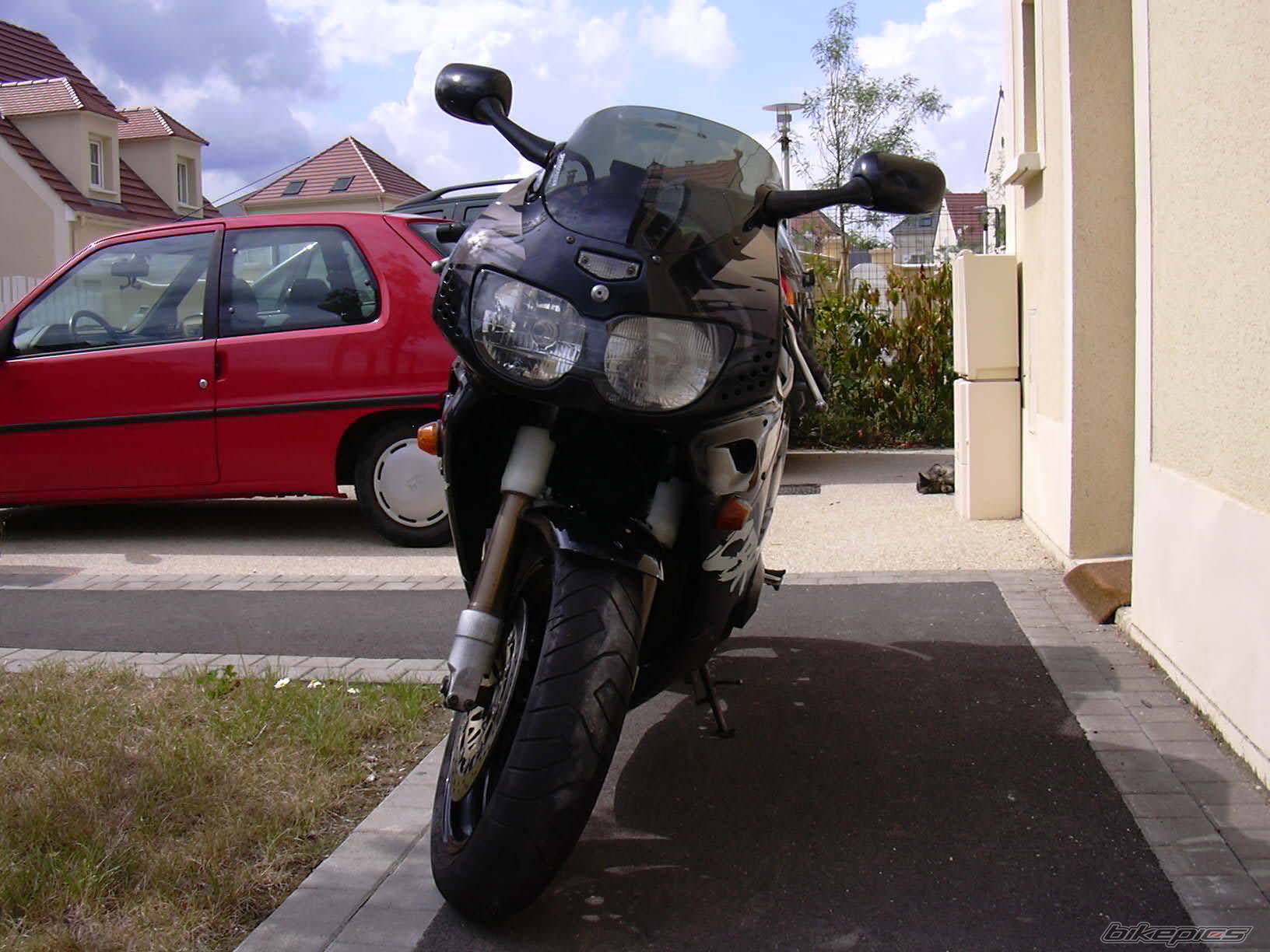 1994 HONDA CBR 900 | Picture 455383 motorcycle photo