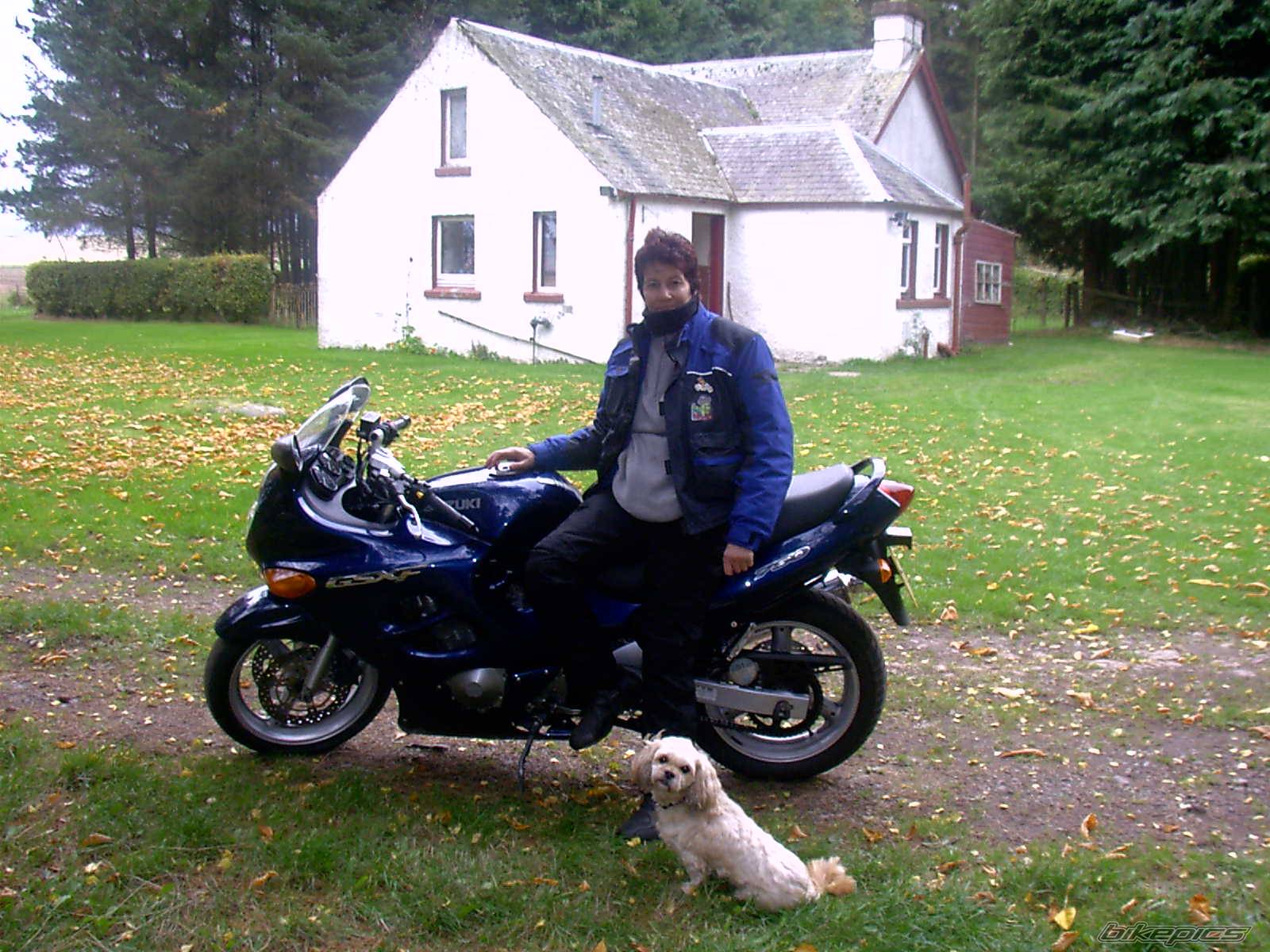 2000 SUZUKI GSX R 750 | Picture 455400 motorcycle photo